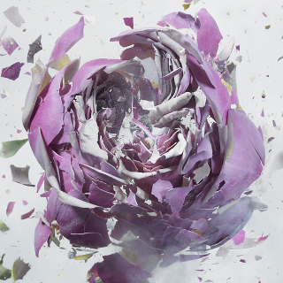 Illustration for article titled The 100 Most Astonishing Images of 2013